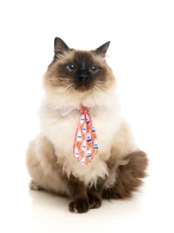 Sir Sleepy Time Necktie