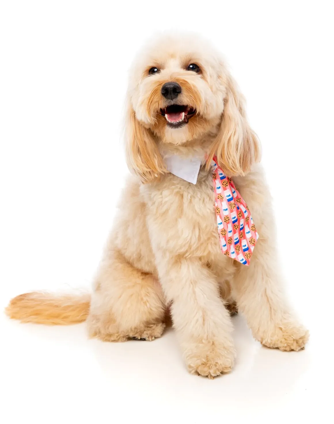 Sir Sleepy Time Necktie