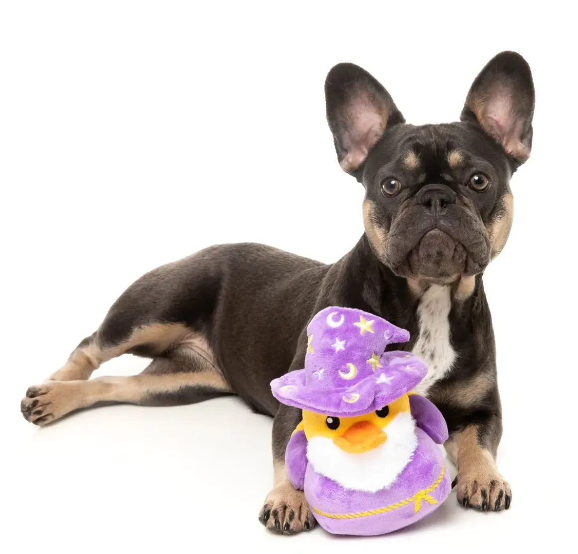 Sirius Quack - Dog Toy