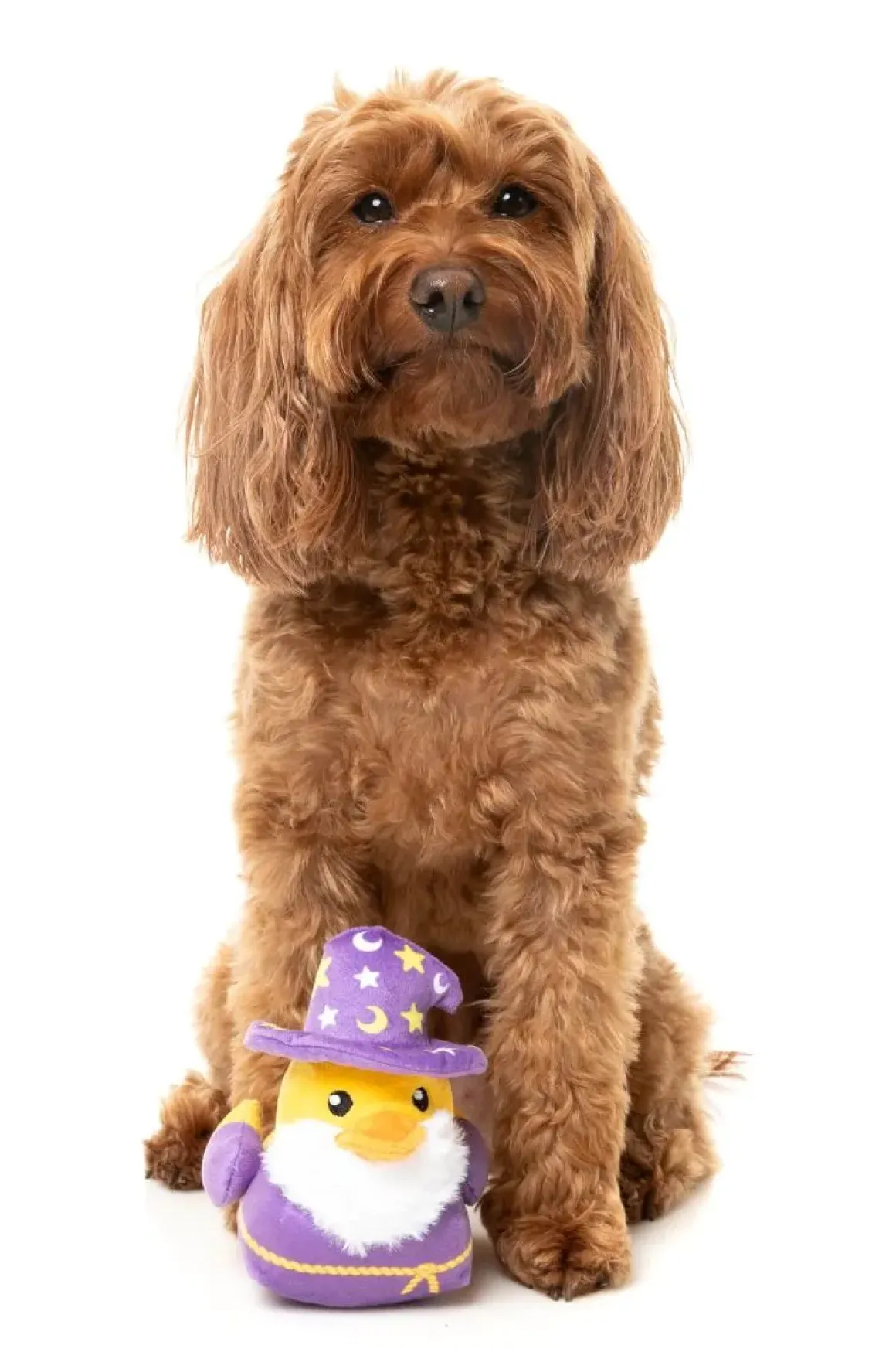 Sirius Quack - Dog Toy