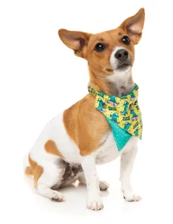 Sk8ter Gator - Bandana