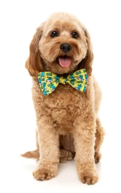 Sk8ter Gator - Bowtie