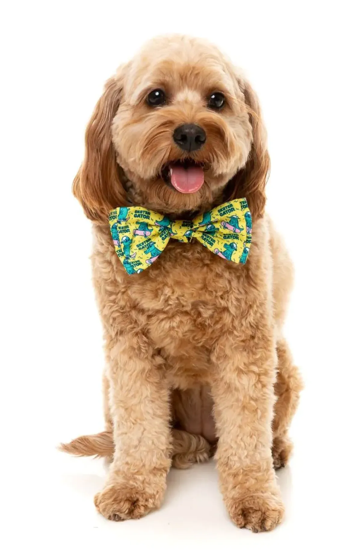 Sk8ter Gator - Bowtie