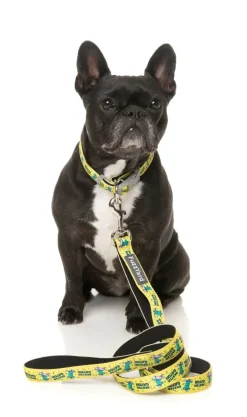 Sk8ter Gator - Dog Lead