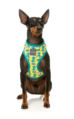 Sk8ter Gator - Harness