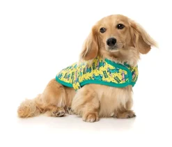 Sk8ter Gator - Wrap Vest