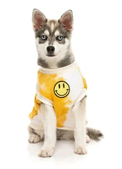 Smiley Tie-rus Sweater Yellow/Cream