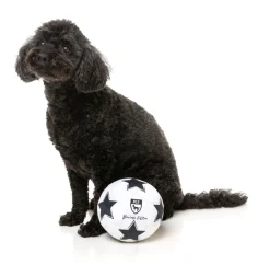 Soccer Ball - Dog Toy