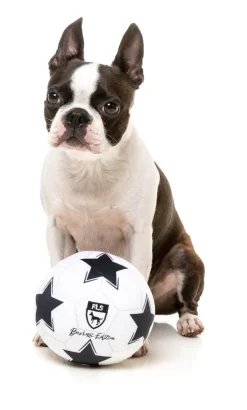 Soccer Ball - Dog Toy