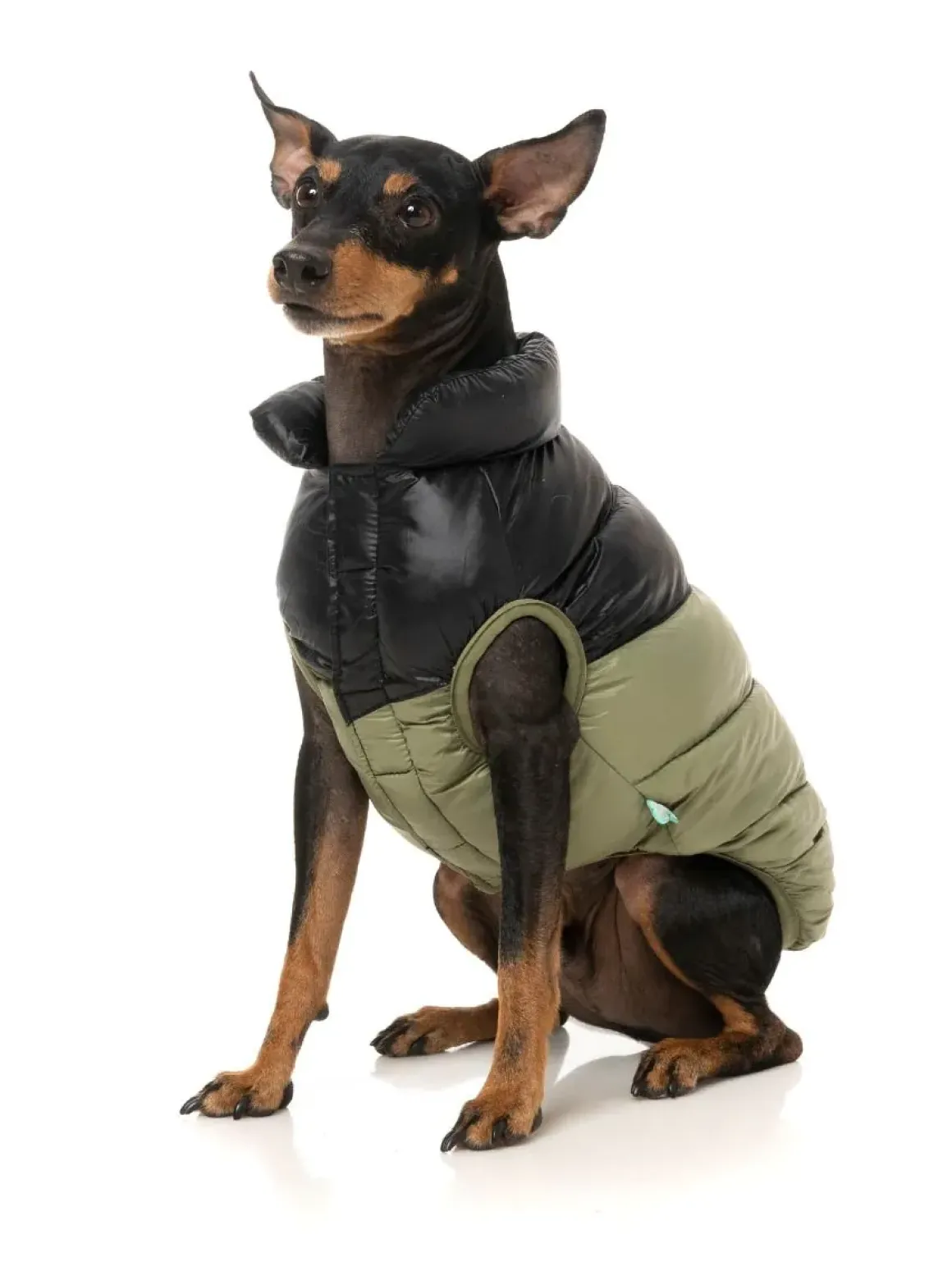 South Harlem Jacket - Olive