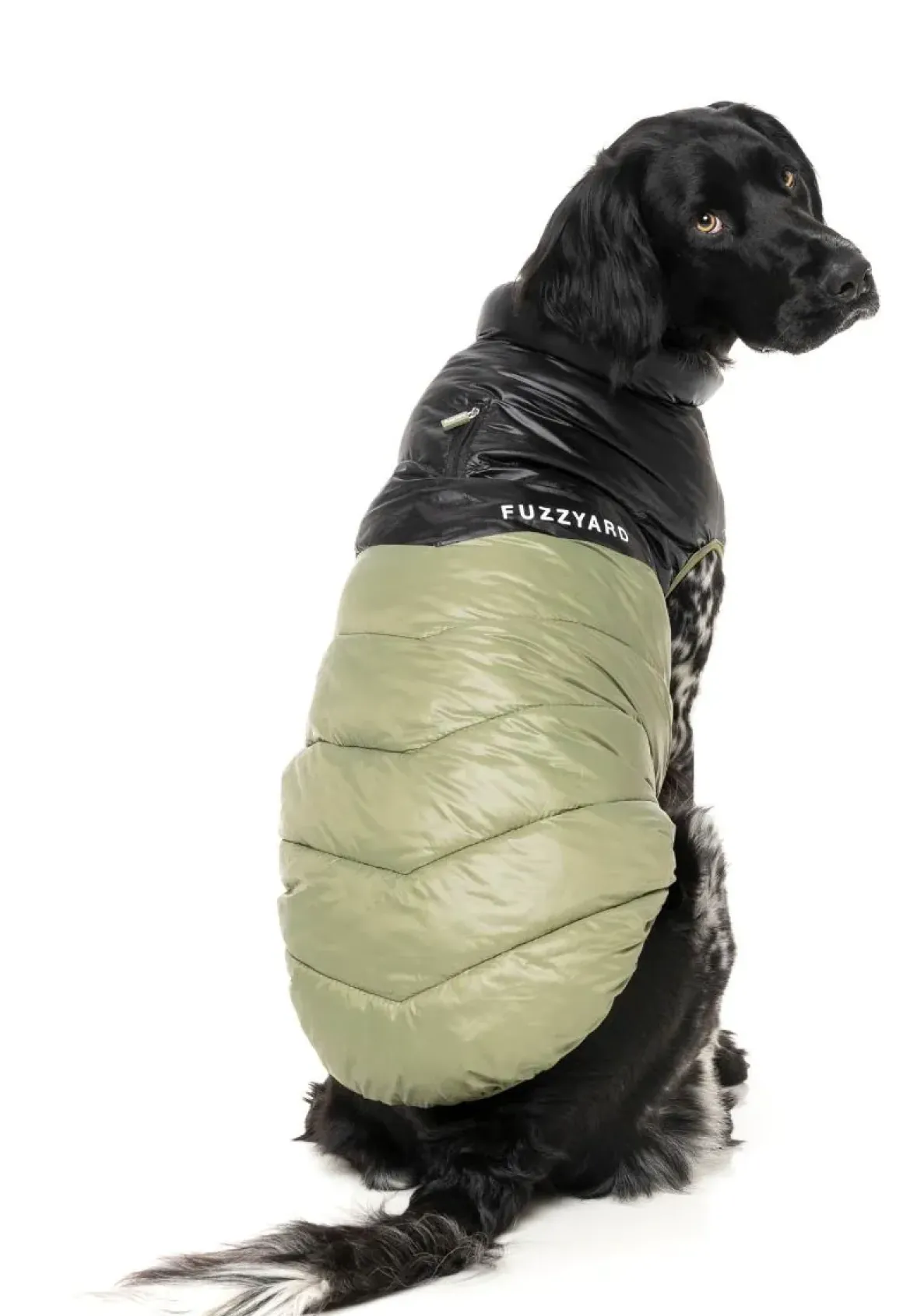 South Harlem Jacket - Olive