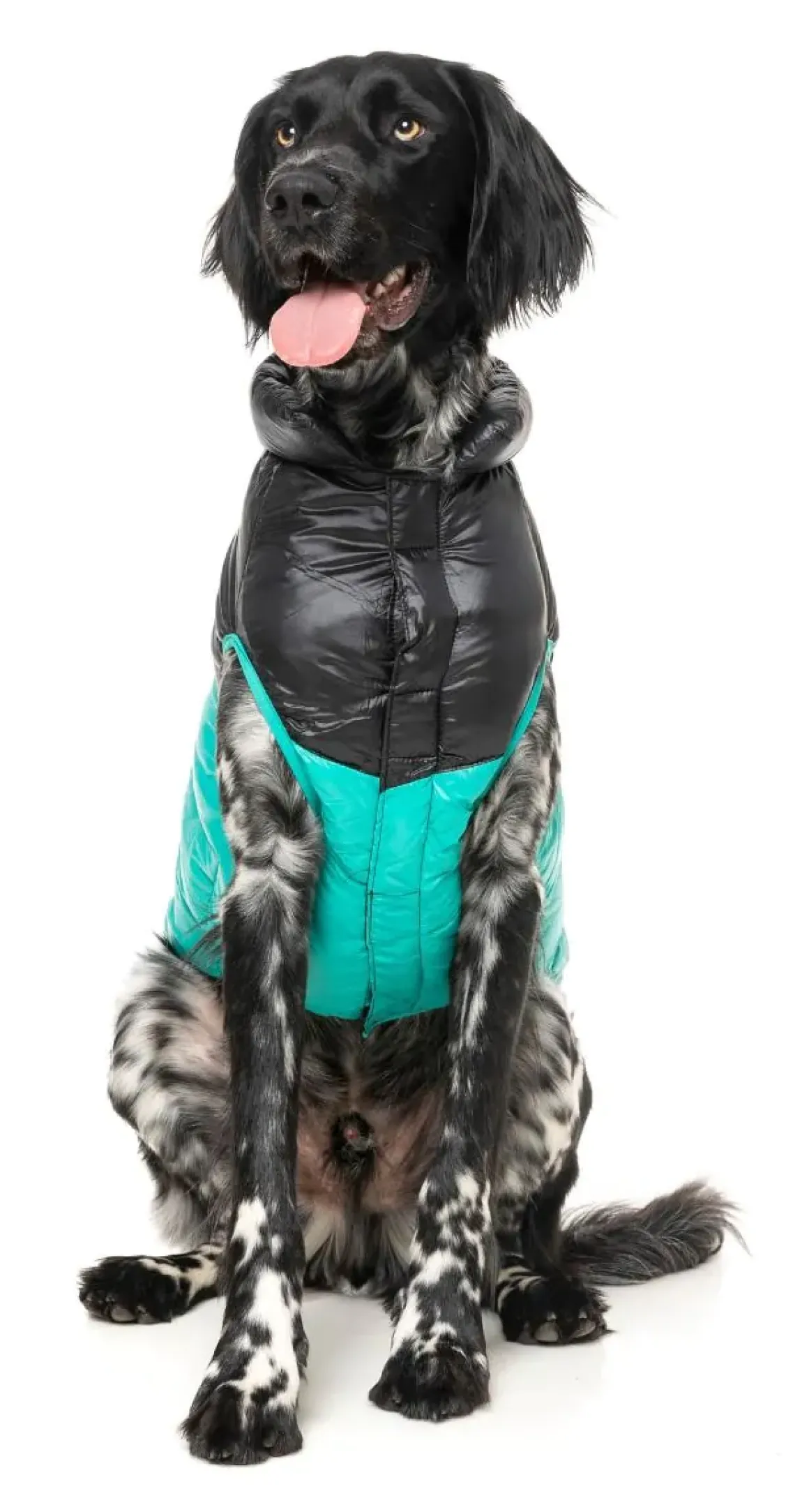 South Harlem Jacket - Teal