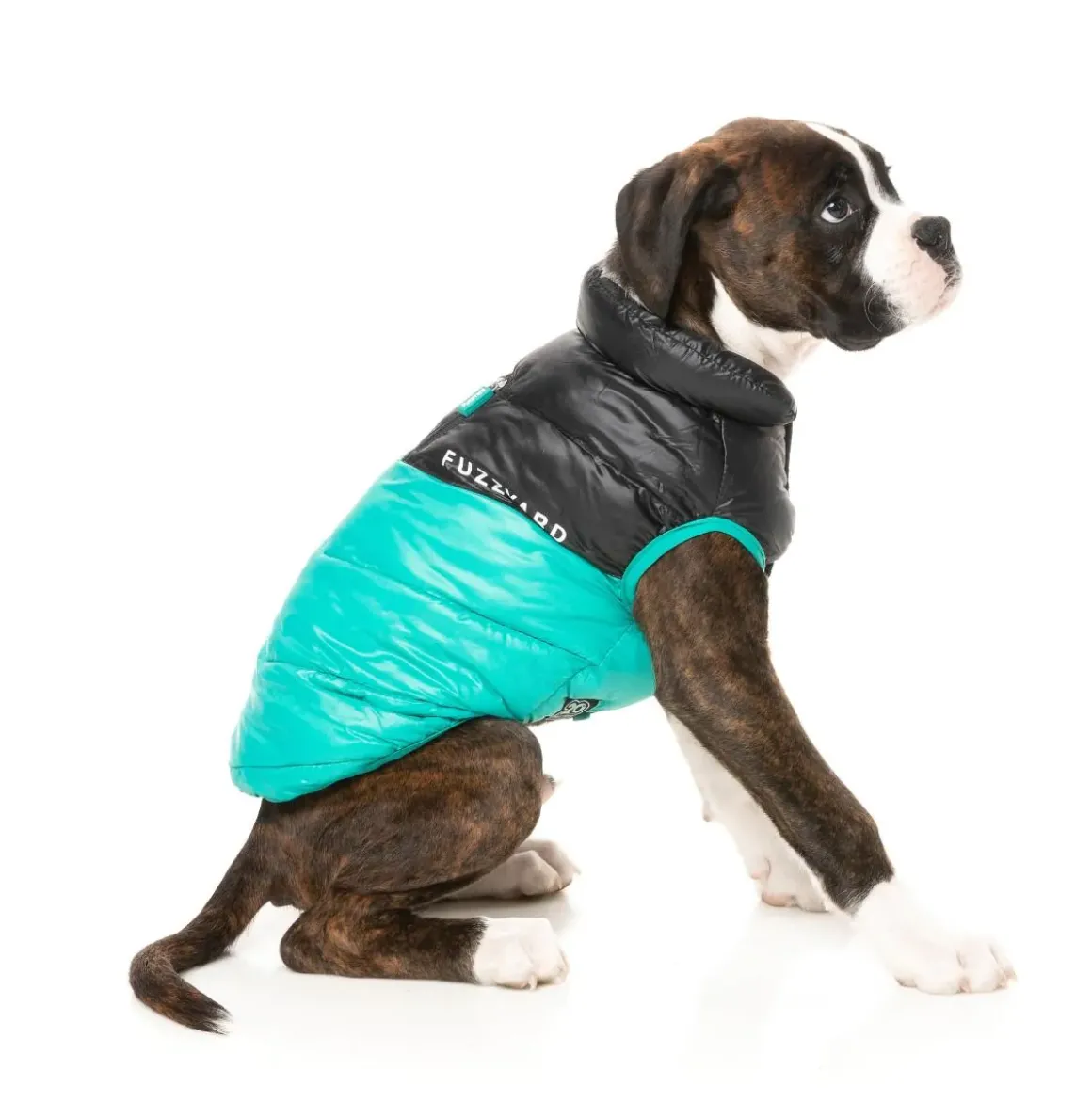 South Harlem Jacket - Teal