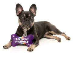Sparkle Bone - Dog Toy