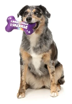 Sparkle Bone - Dog Toy