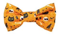 Spooky Kitty - Cat Fashion Pack