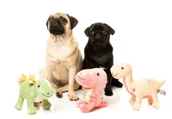 Stannis the Stegosaurus