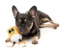 Steinzy - The Homies - Dog Toy