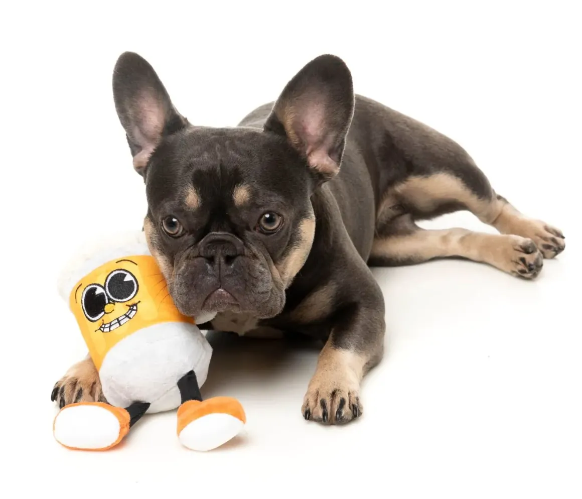 Steinzy - The Homies - Dog Toy