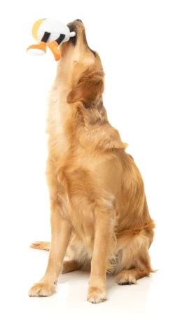 Steinzy - The Homies - Dog Toy