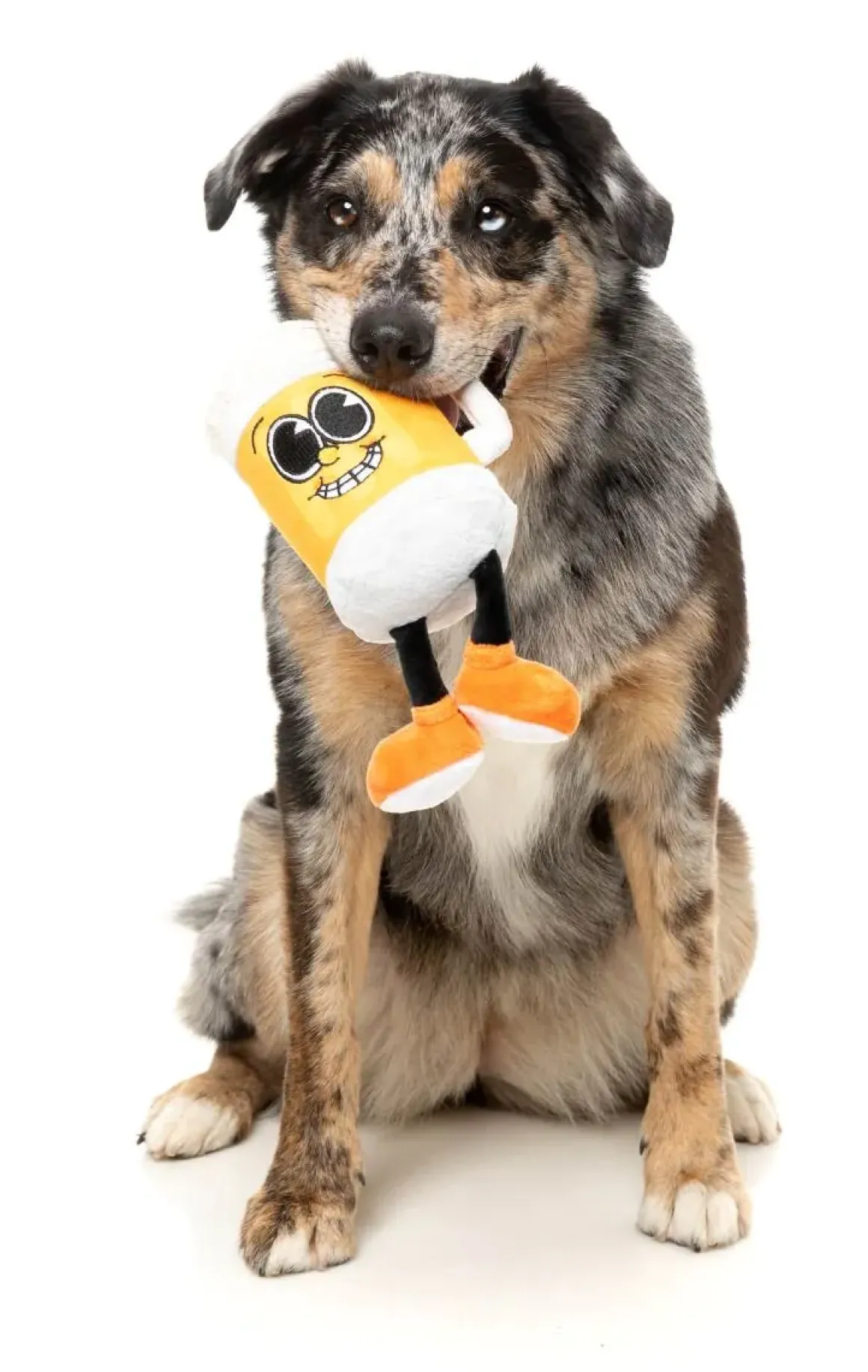 Steinzy - The Homies - Dog Toy