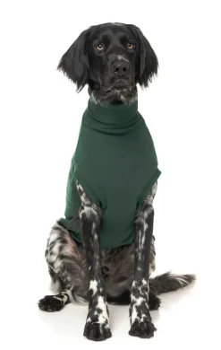 Stevie Sweater - Green