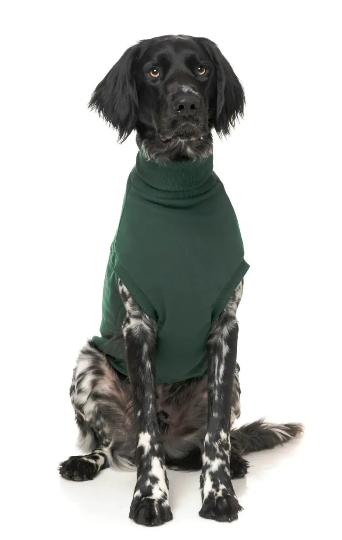 Stevie Sweater - Green