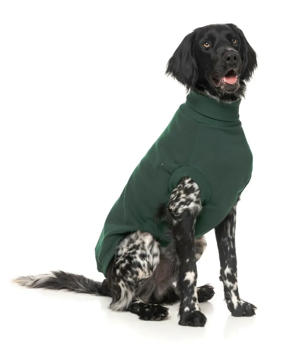 Stevie Sweater - Green