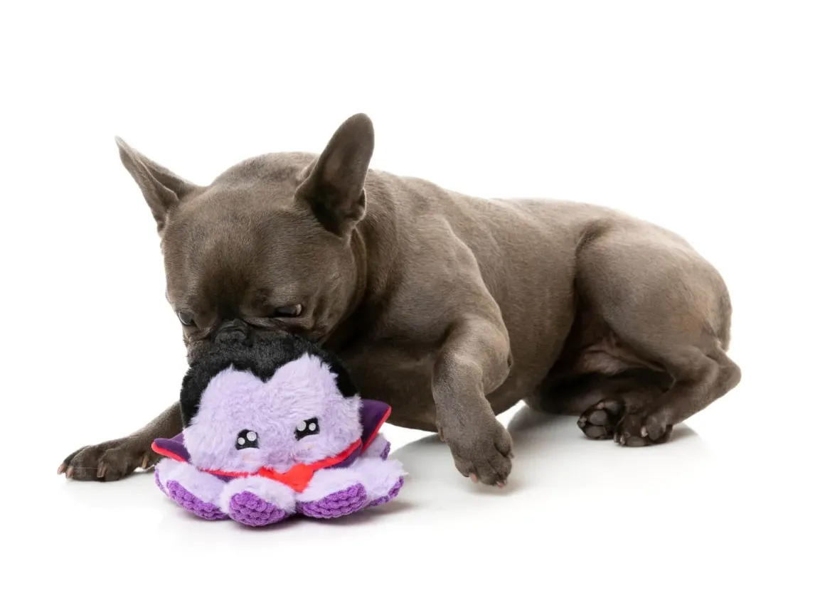 Stumpy Dractopus - Dog Toy