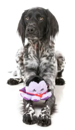 Stumpy Dractopus - Dog Toy