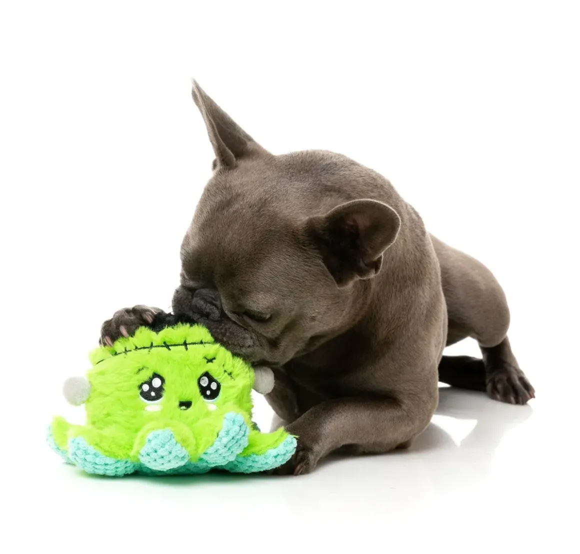 Stumpy Franken-pus - Dog Toy