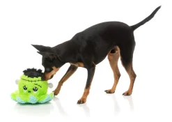 Stumpy Franken-pus - Dog Toy