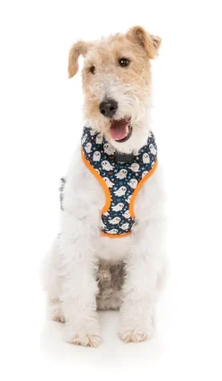 That's The Spirit - Dog Harness