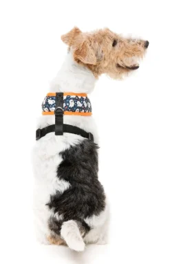 That's The Spirit - Dog Harness