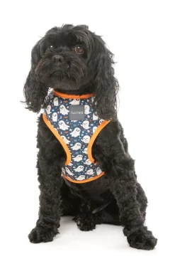 That's The Spirit - Dog Harness