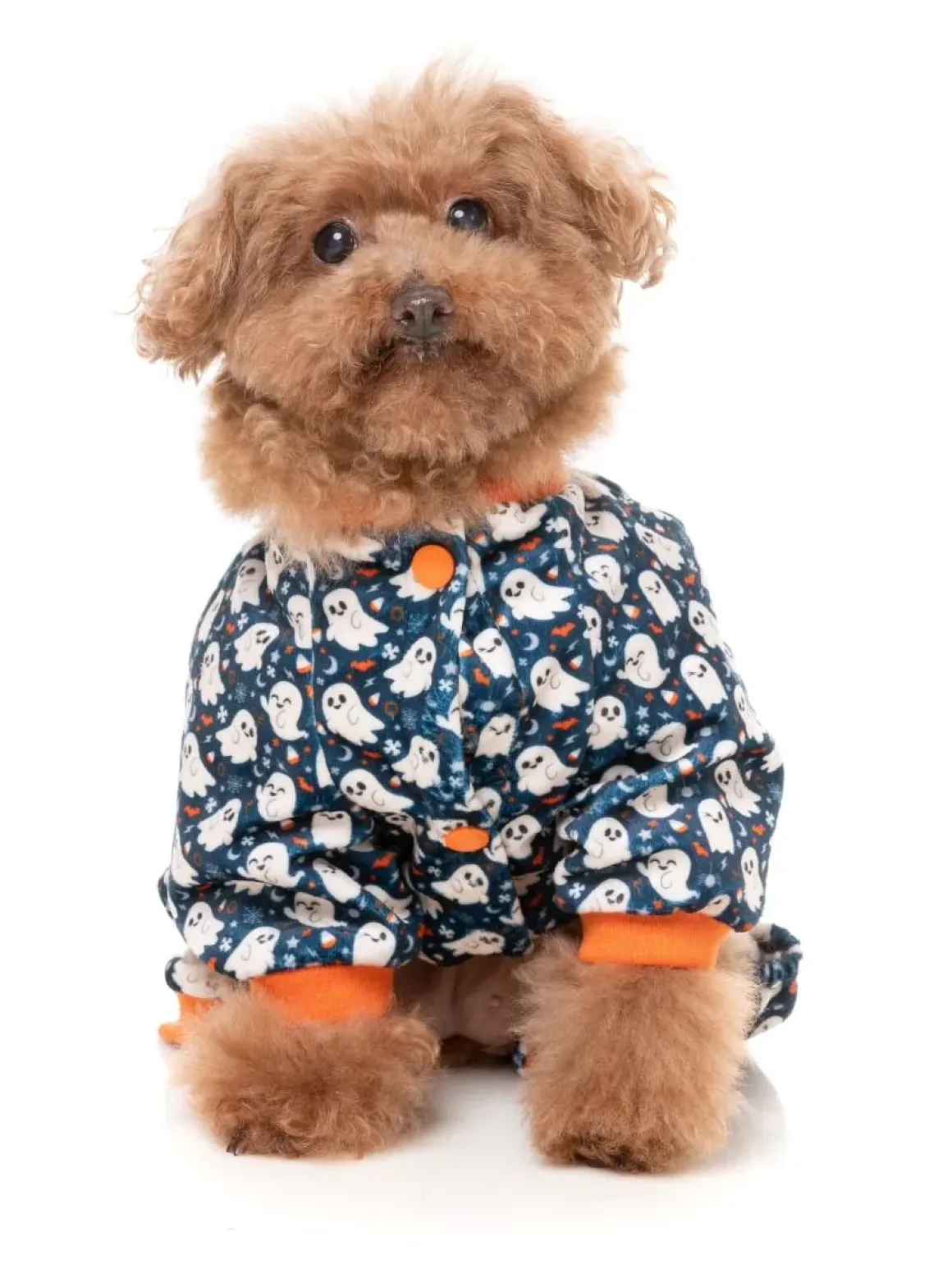 That's The Spirit - Dog Pajamas
