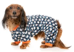 That's The Spirit - Dog Pajamas