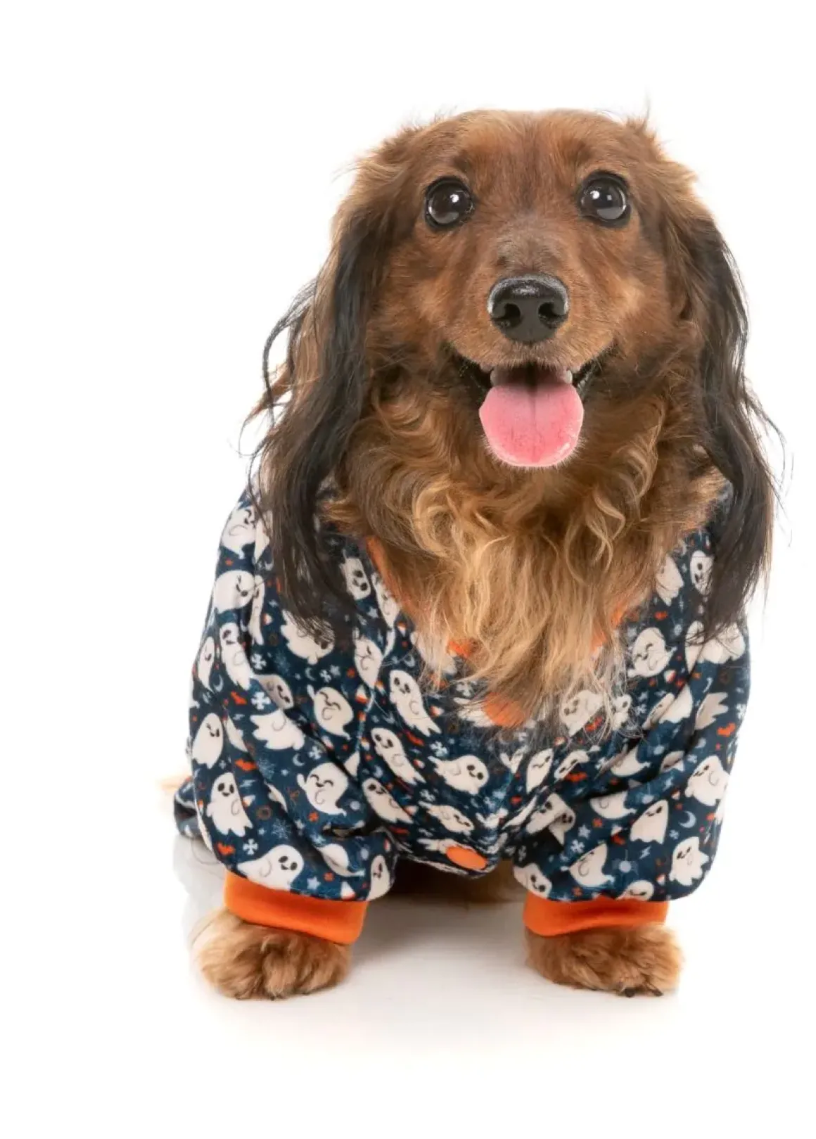 That's The Spirit - Dog Pajamas