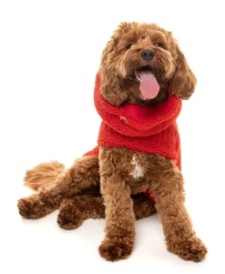 The Cosy Snood Coat - Cherry Red