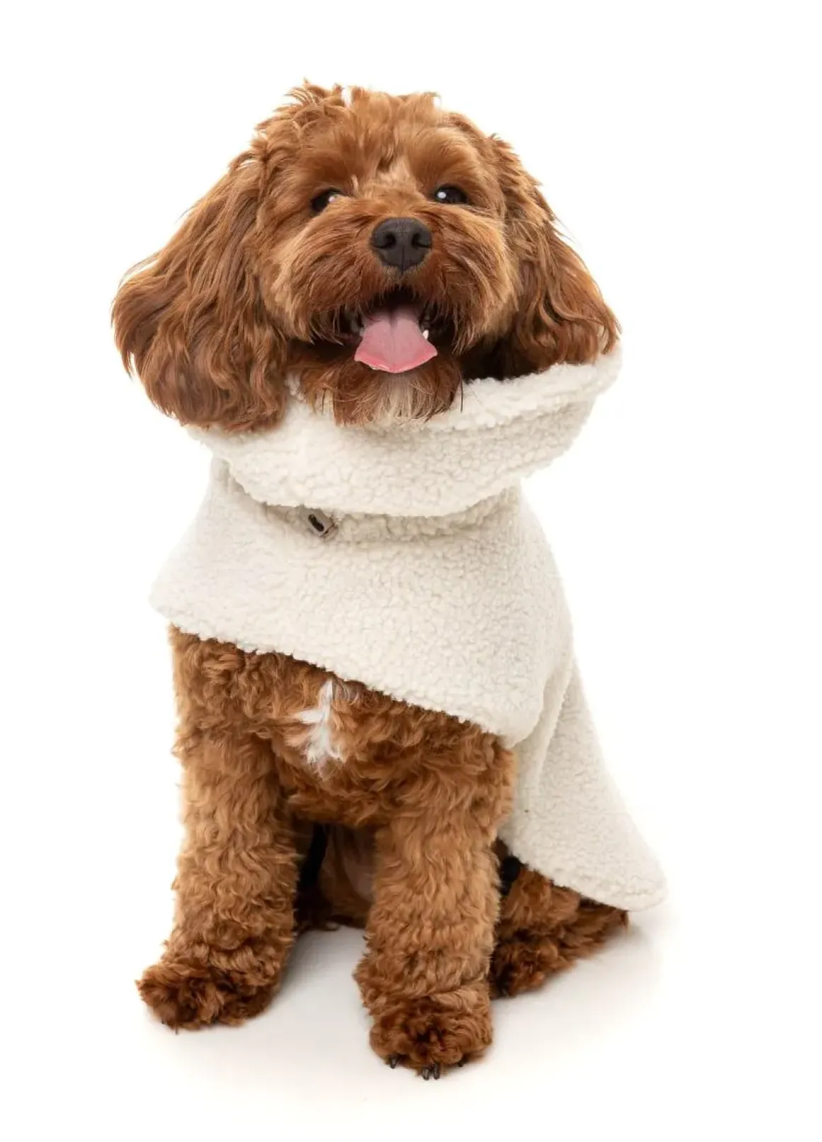 The Cosy Snood Coat - Eggshell