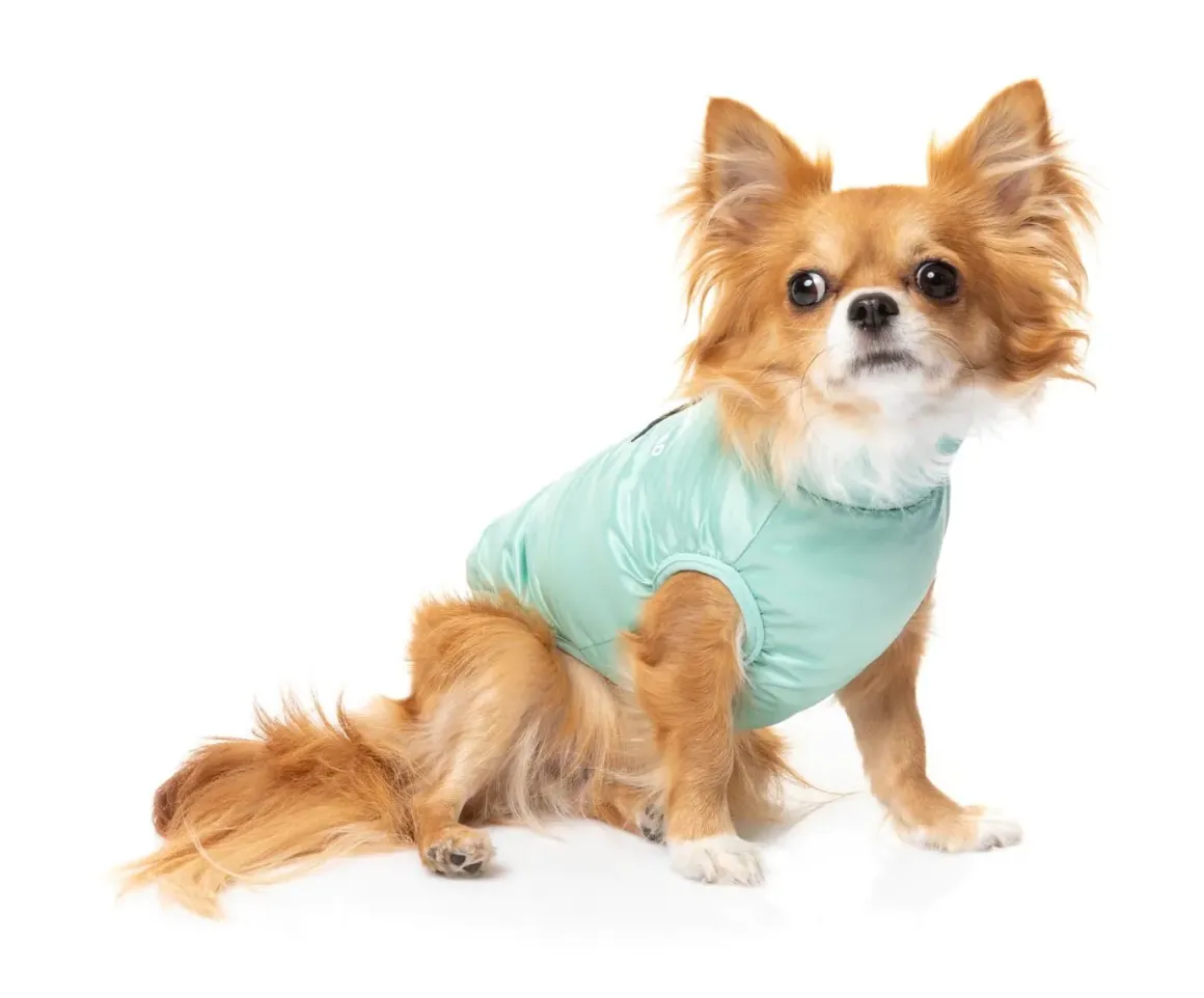 The Eastcoast Harness Jacket - Mint