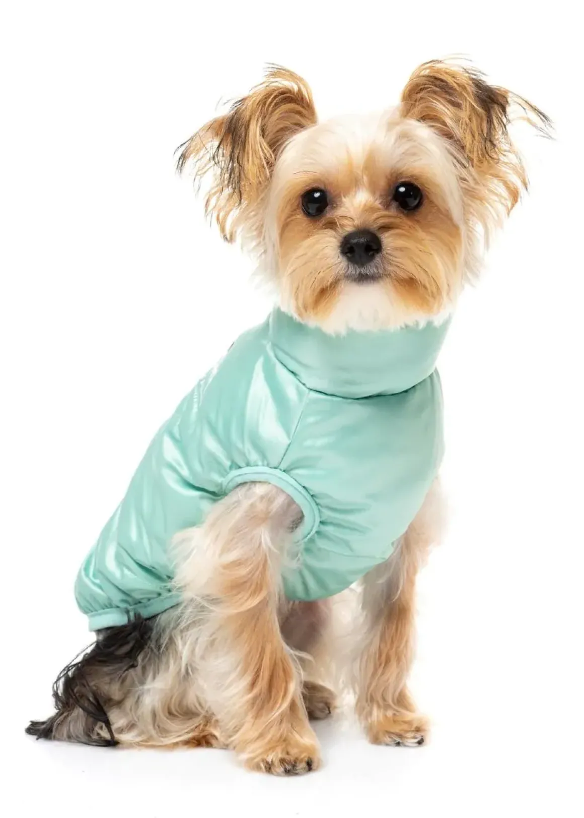 The Eastcoast Harness Jacket - Mint