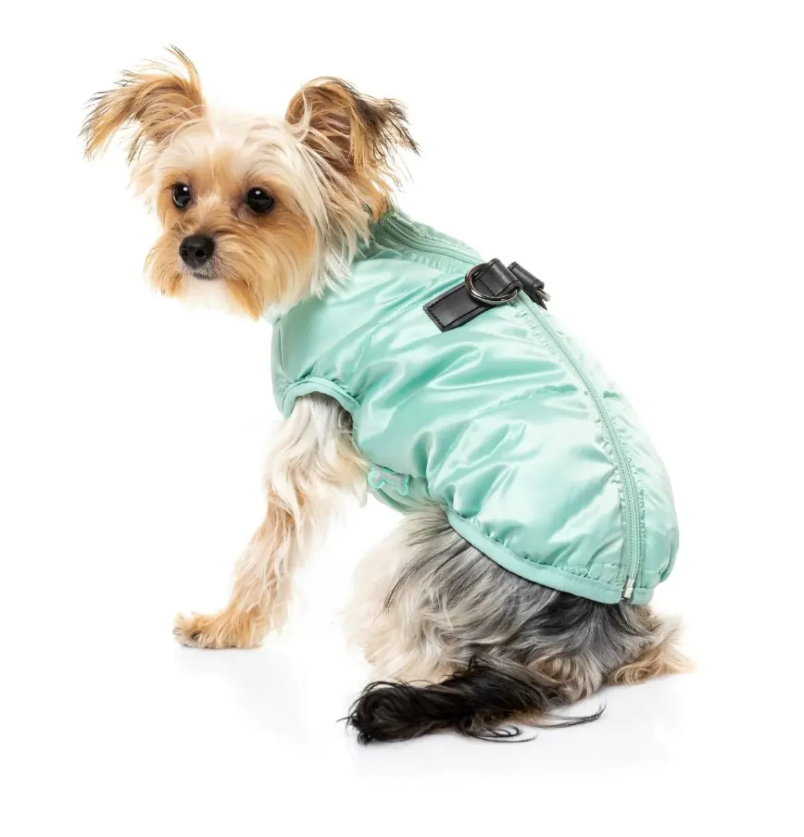 The Eastcoast Harness Jacket - Mint