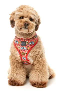 The Homies - Dog Harness