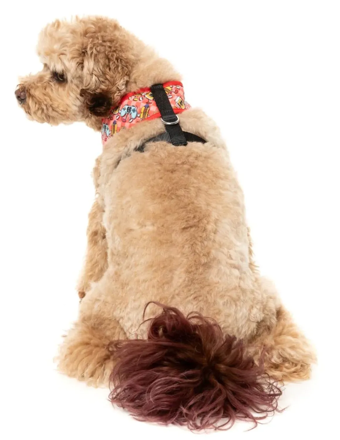 The Homies - Dog Harness