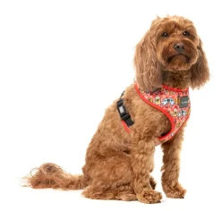 The Homies - Dog Harness