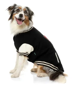 The Letterman Jacket - Black