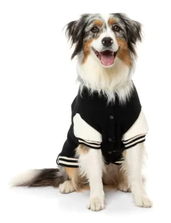 The Letterman Jacket - Black