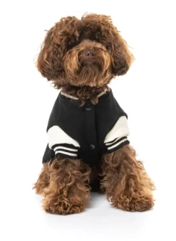 The Letterman Jacket - Black