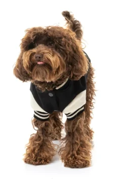 The Letterman Jacket - Black